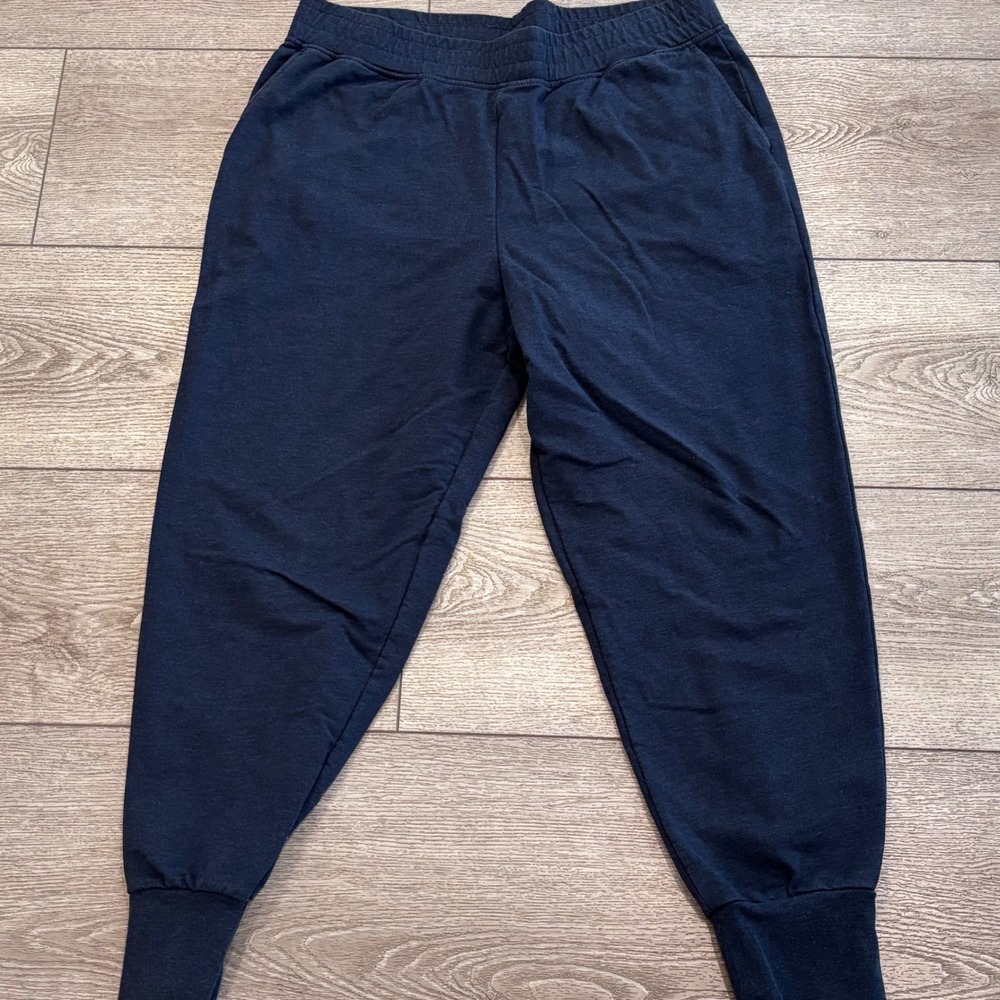 Patagonia Jogger Pants Mens Large Blue Organic Sweatpants Lounge Outdoors Hiking